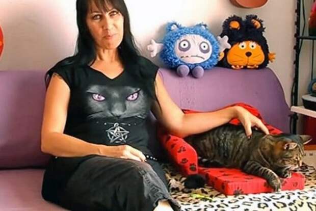 Замуж за кота замуж, кот, маразм