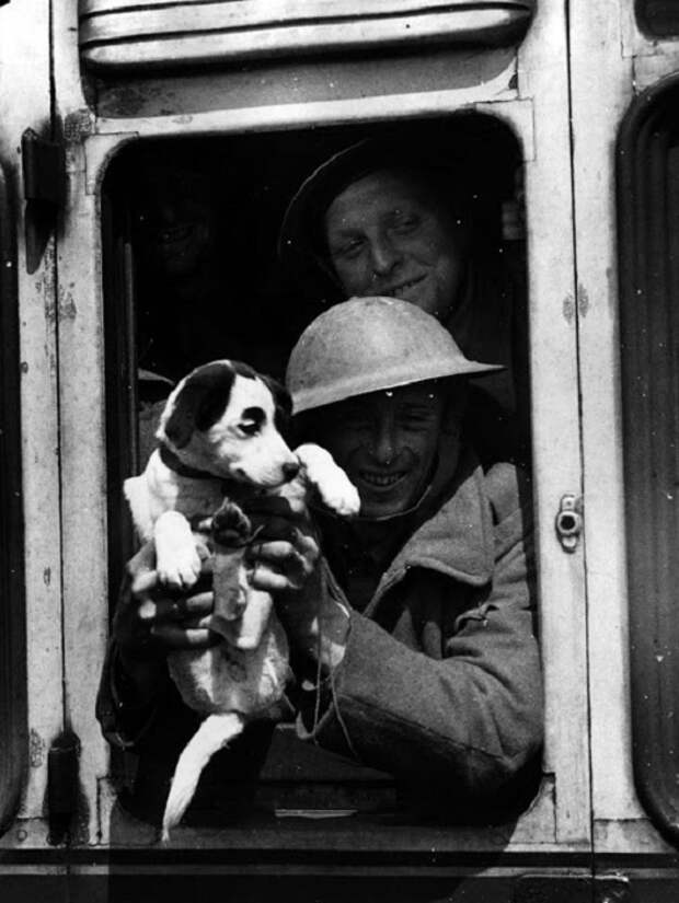 Член британского экспедиционного корпуса улыбается из окна поезда со своим талисманом, во время эвакуации из Франции.