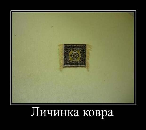 Подборка демотиваторов демотиваторы, юмор