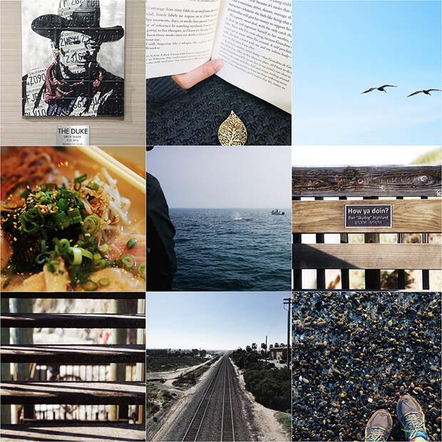 Insta Lately: Vol. 14 | SCATTERBRAIN