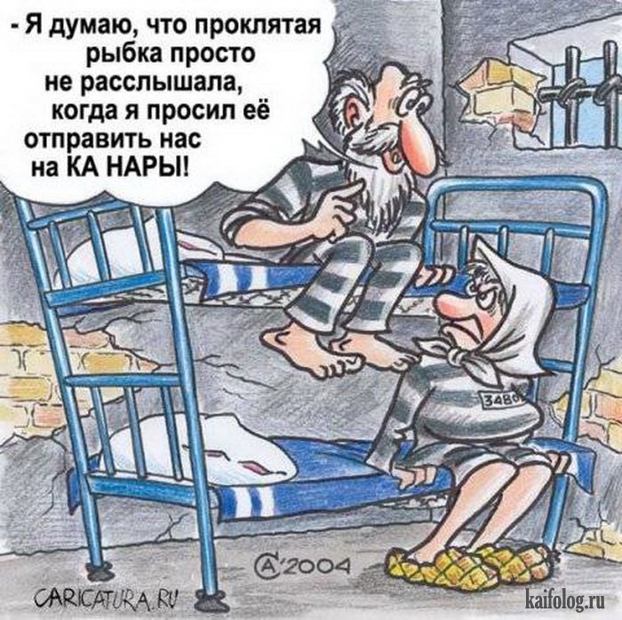 Смешные карикатуры и картинки (55 штук)