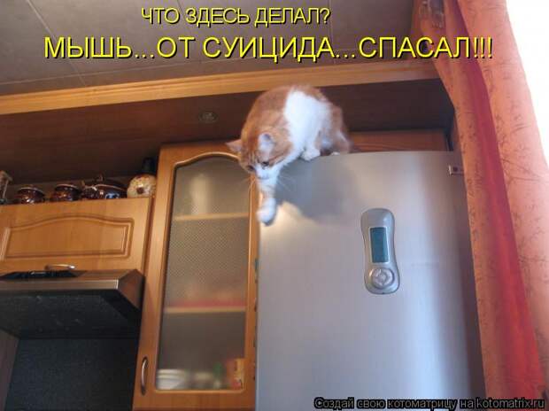 ЧТО ЗДЕСЬ ДЕЛАЛ? МЫШЬ...ОТ СУИЦИДА...СПАСАЛ!!!
