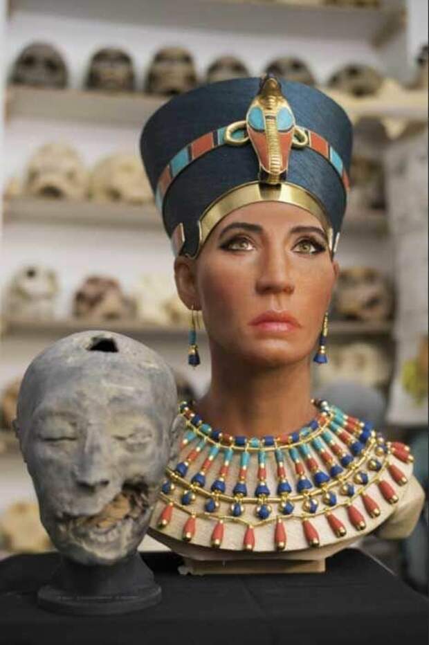 Так выглядела Нефертити антропологическая реконструкция, восстановление, женщины, история, люди прошлого, наука, черепа