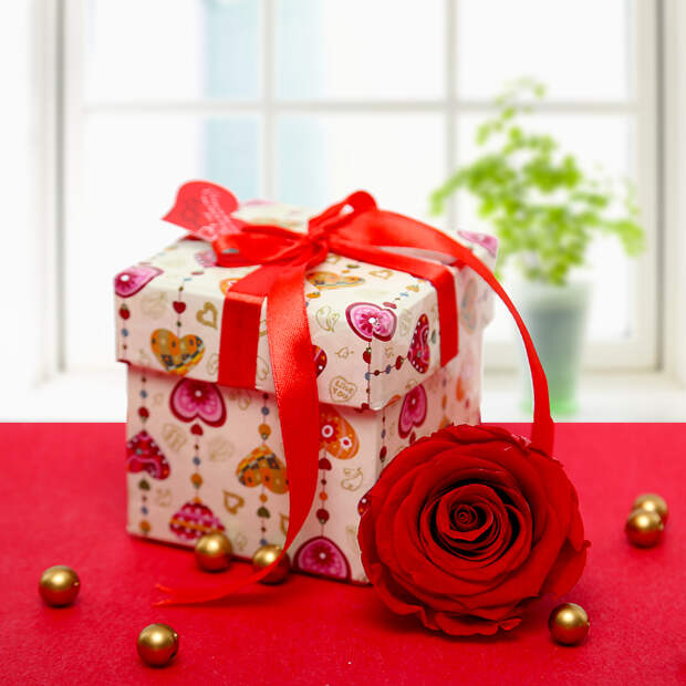 Valentine's Day Exclusive Gifting Ideas for Your Loved Ones| cherryontopblog.com Valentine's Day Exclusive Gifting Ideas for Your Loved Ones| cherryontopblog.com