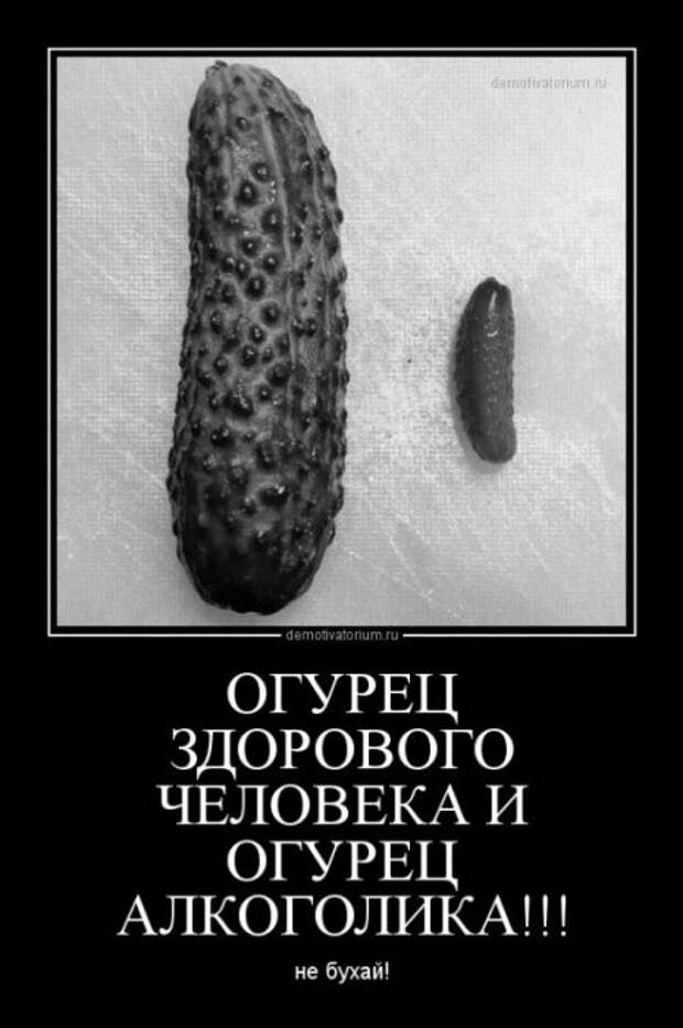 Пост прикольных демотиваторов