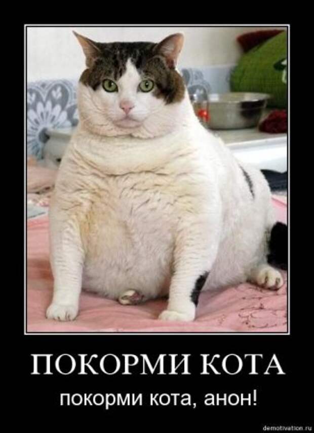 весёлые демки