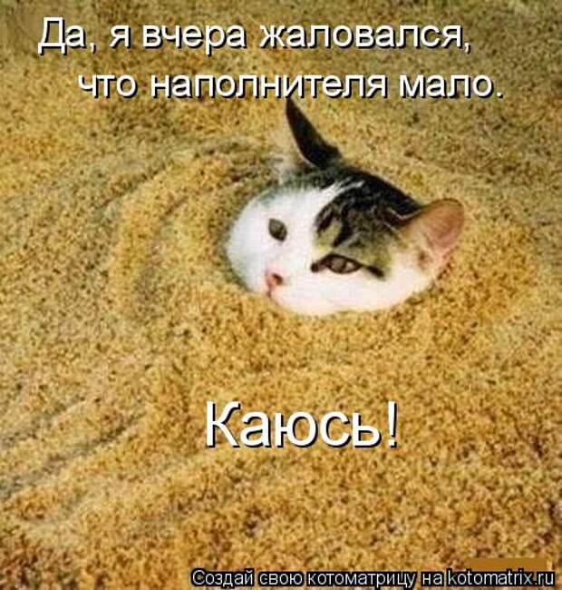 Котоматрица: Да, я вчера жаловался,  что наполнителя мало. Каюсь!