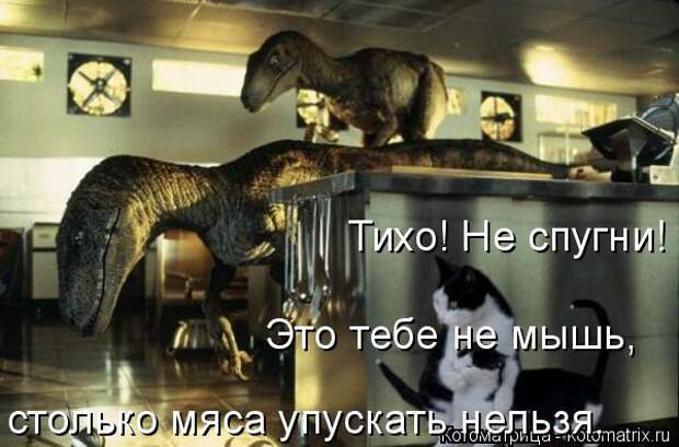Котоматрица: Тихо! Не спугни! Это тебе не мышь, столько мяса упускать нельзя.
