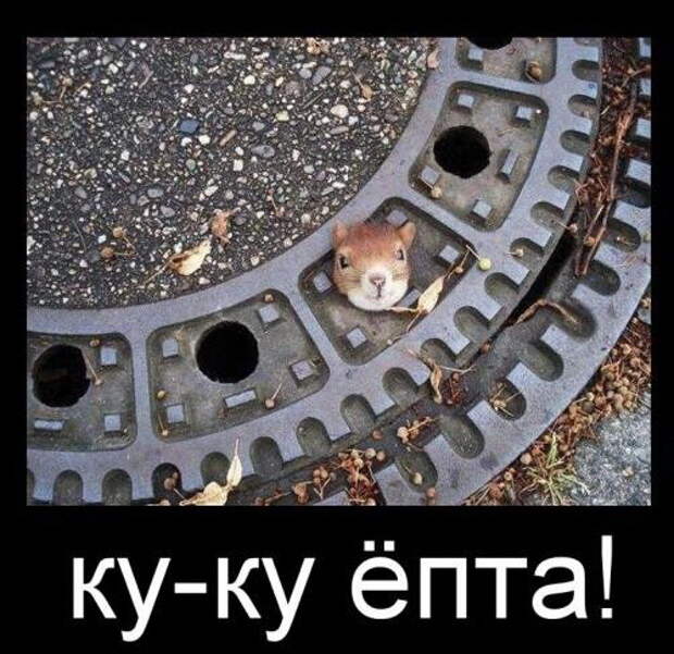 Демотиваторы демотиваторы, картинки, приколы