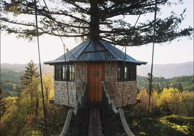27-летний американец воплотил в реальность свою детскую мечту – построил домик на дереве.