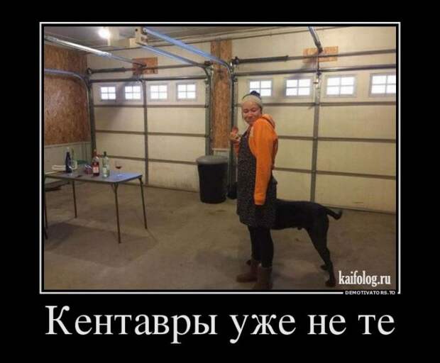 Демотиваторы - 260 (45 демок)