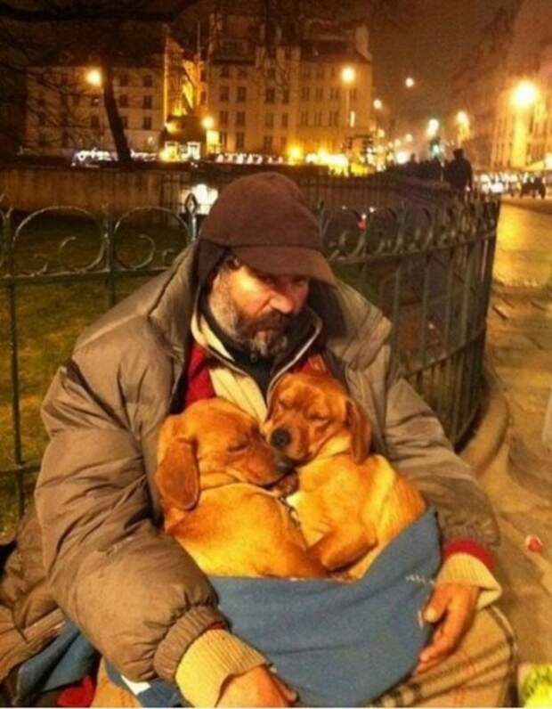 смысл, фото, эмоции