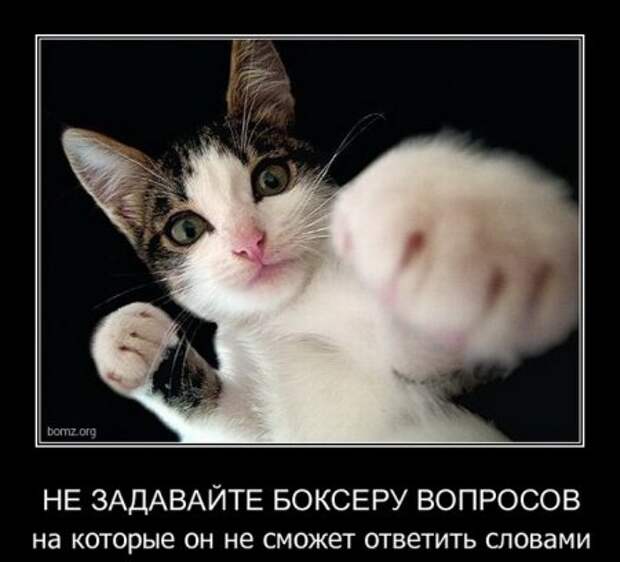 Демотиваторы, они прикольные, других и не держим.
