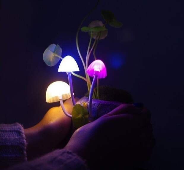 креативные светильники, необычные лампы