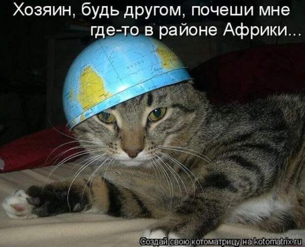 Подборка Котоматриц 2010 - Выпуск 28