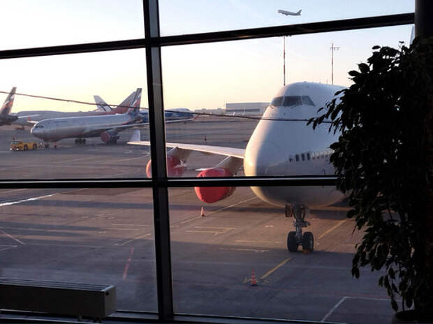 Российские авиакомпании попросили отменить требование об охране невъездных пассажиров
