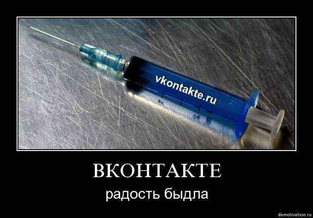 5mao8cy8dl8f