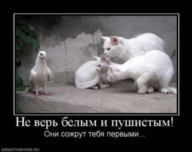 Демотиваторы одиночество жизни и любви..