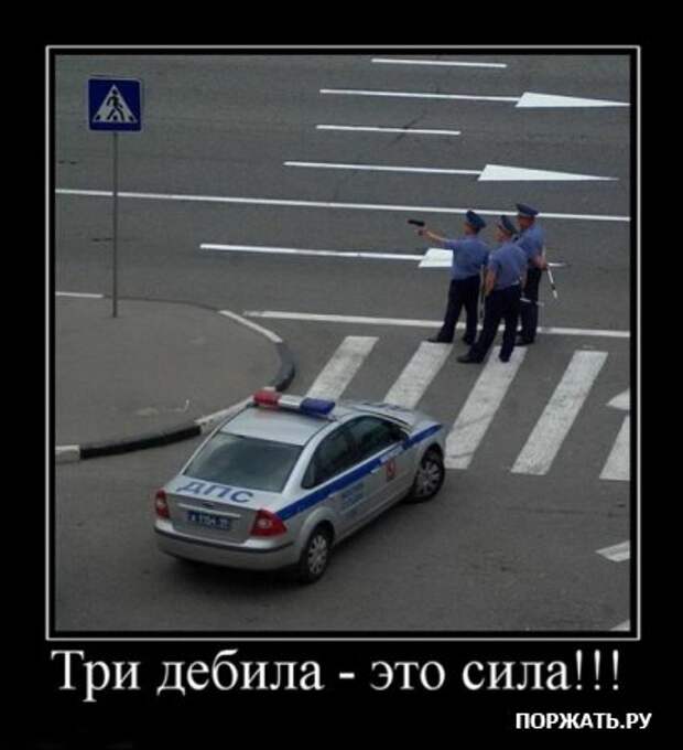 Демотиваторы приколы и юмор в смешных фотках с надписями.