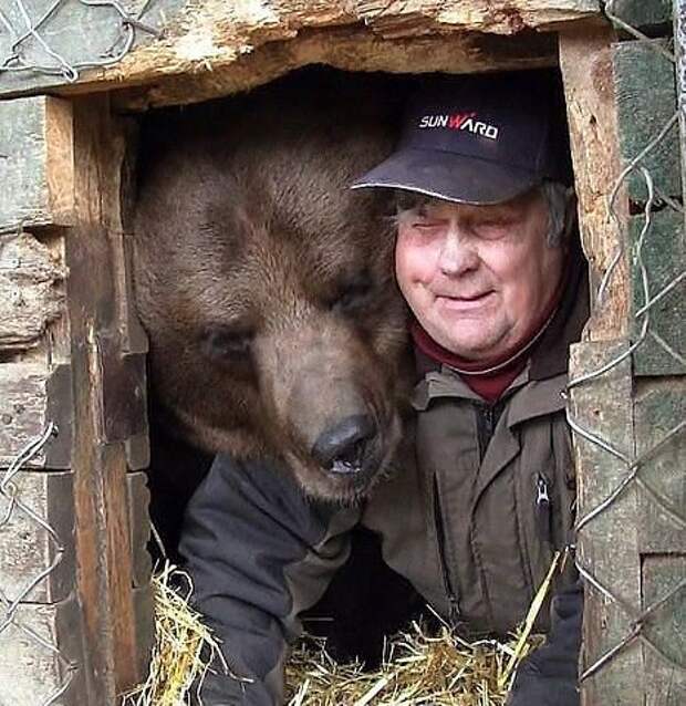 Где-то в России медведи, россия