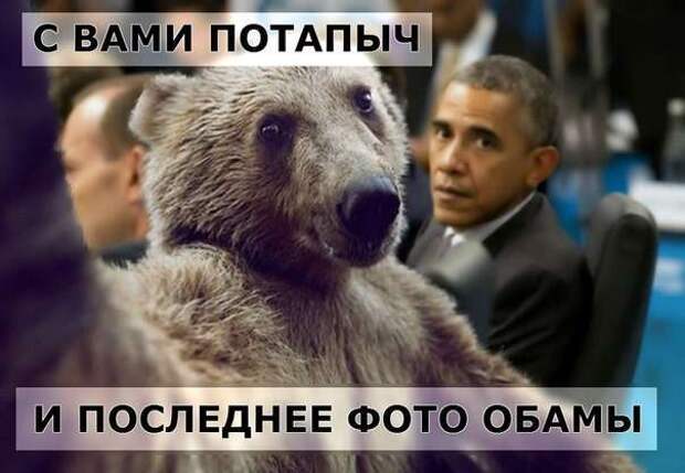 Картинки со смешными надписями Картинки со смешными надписями