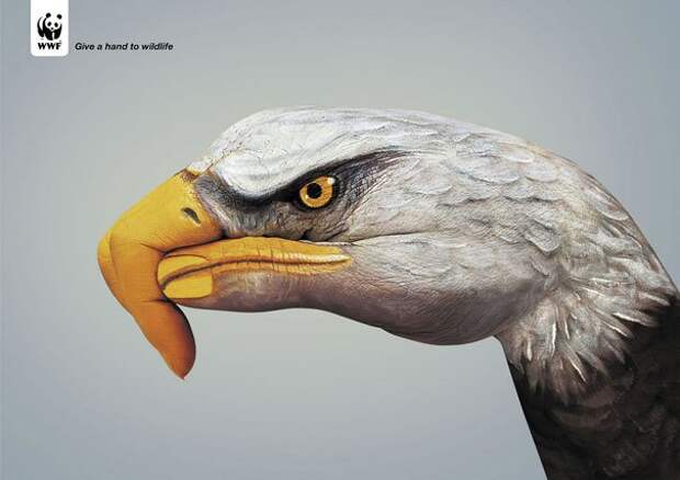 Креативная реклама WWF (18)