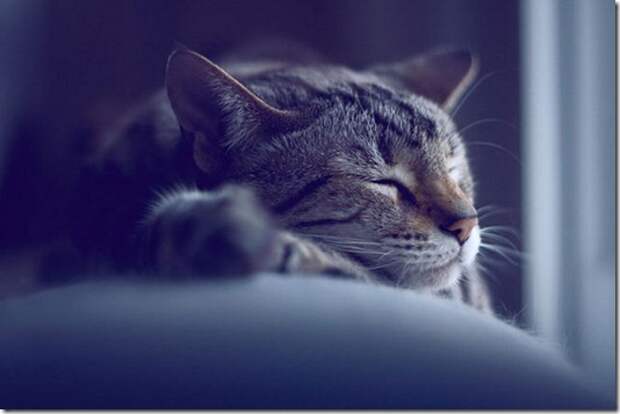 clip_image007 [4]