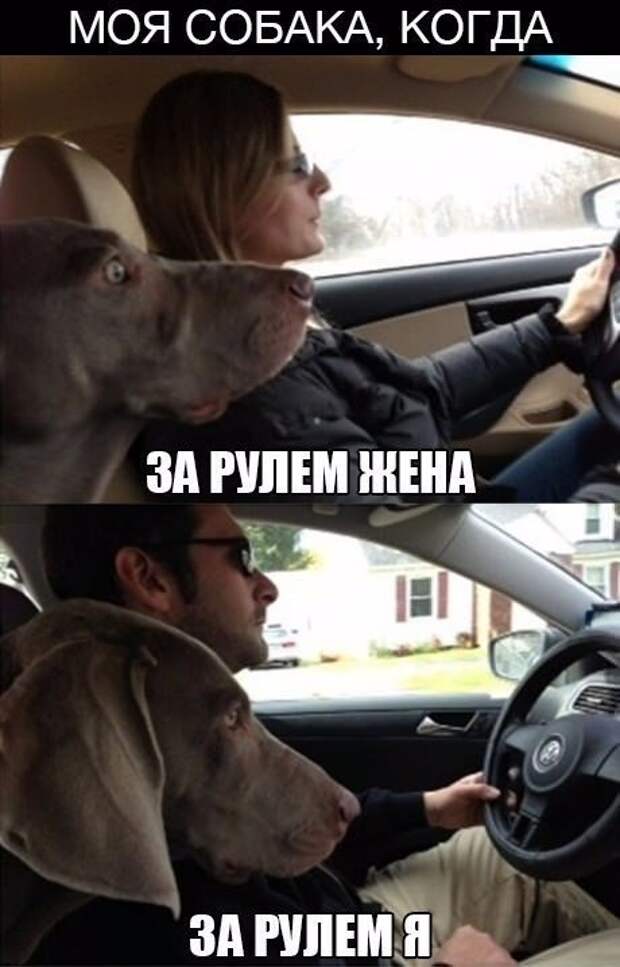 Очередная подборка автоприколов автоприколы, приколы