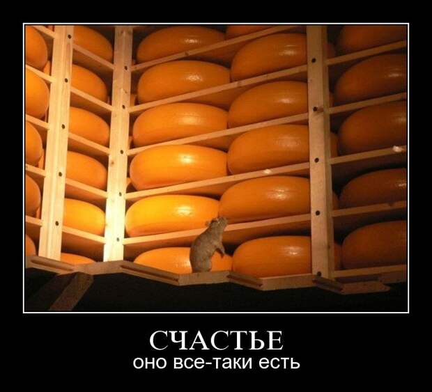 Демотиваторы (107 фото)