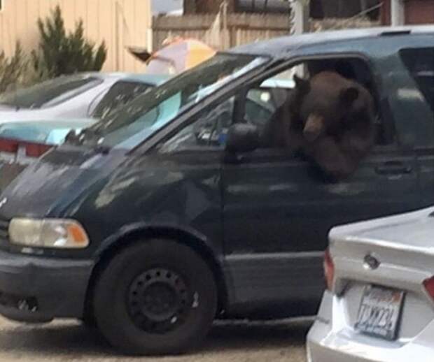 kartinok-veselyh-interesnyh-kartinki-smeshnye-kartinki-fotoprikoly kartinok-veselyh-interesnyh-kartinki-smeshnye-kartinki-fotoprikoly