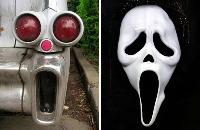 similar-things-look-alike-54__700