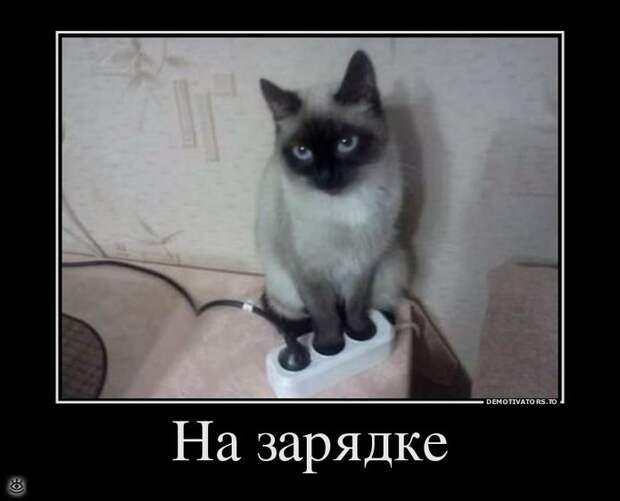 Здравствуй, осень! 11