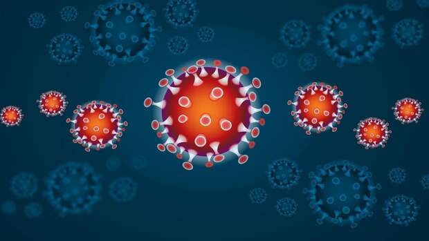 Терапевт Губанова призвала обращаться к врачу даже после легкого течения COVID-19