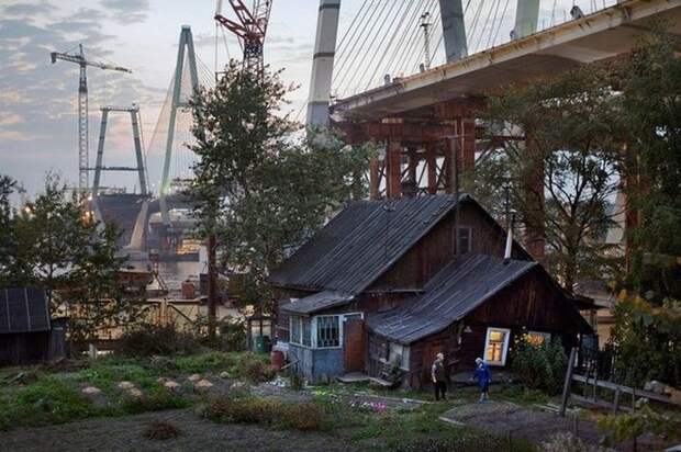 Прикольные картинки картинки, юмор