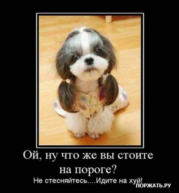 Демотиваторы свежак
