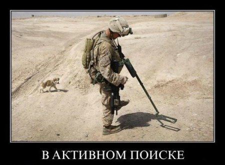 Демотиватоы любой день прикольным сделают.