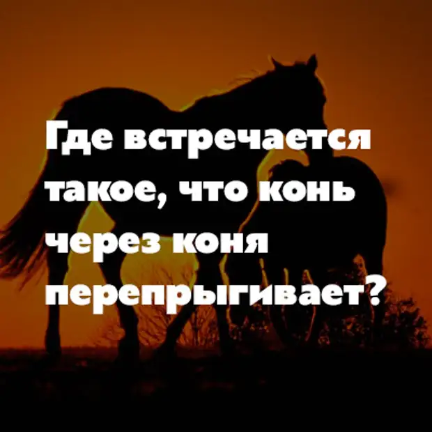 Где встречается конь через коня перепрыгивает. Где это конь через коня перепрыгивает ответ. Загадка конь через коня перепрыгивает. Где встречается такое что конь через коня перепрыгивает. Загадка где встречается такое что конь через коня перепрыгивает.