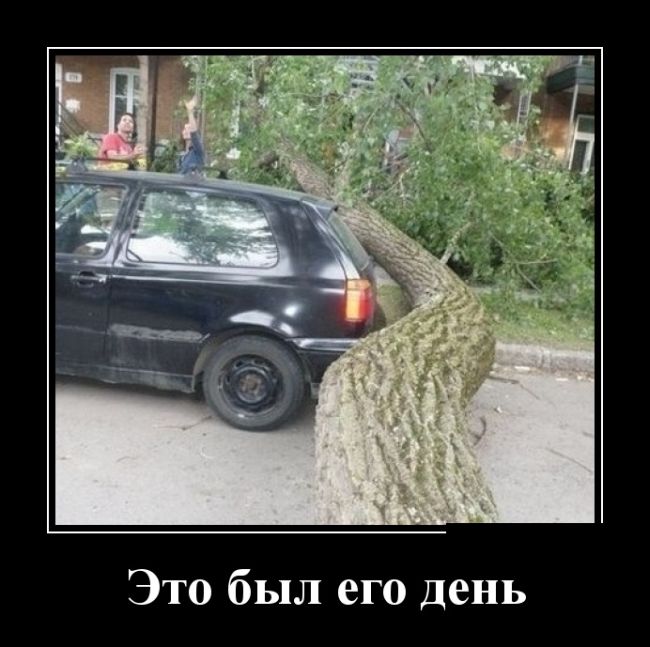 Демотиваторы №1061 (30 фото)