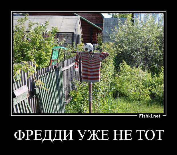 Демотиваторы  демотиваторы, прикол, смех, юмор