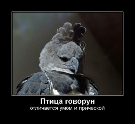 Смешные демотиваторы у нас каждый день!