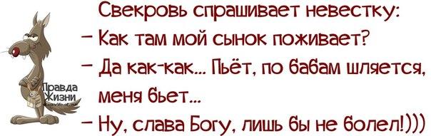 Свекровь спрашивает невестку: Как там мой сынок поживает?