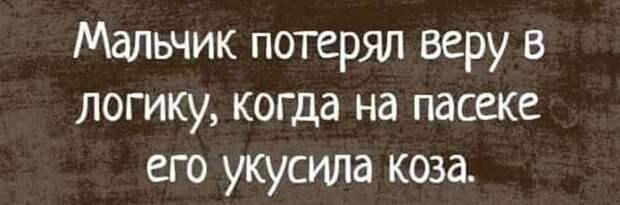 Прикольные и смешные картинки