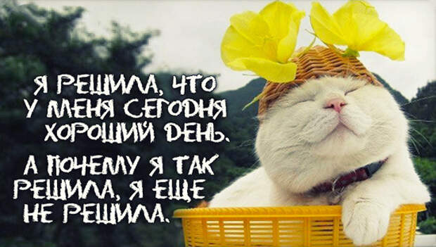 Открытки с интересными мыслями