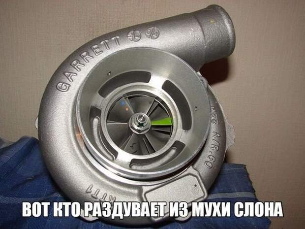 Автоприколы (50 фото)