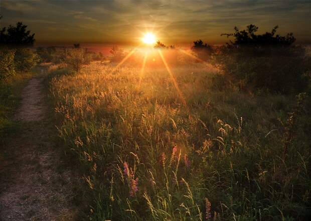 Фото жизнь - mondtag3106 - Пейзажи - Тропинка на закат