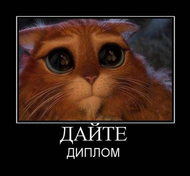Демотиваторы (30 фото) Демотиваторы (30 фото)