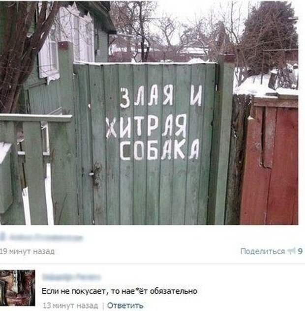 Прикольные комментарии из соцсетей (26 фото)