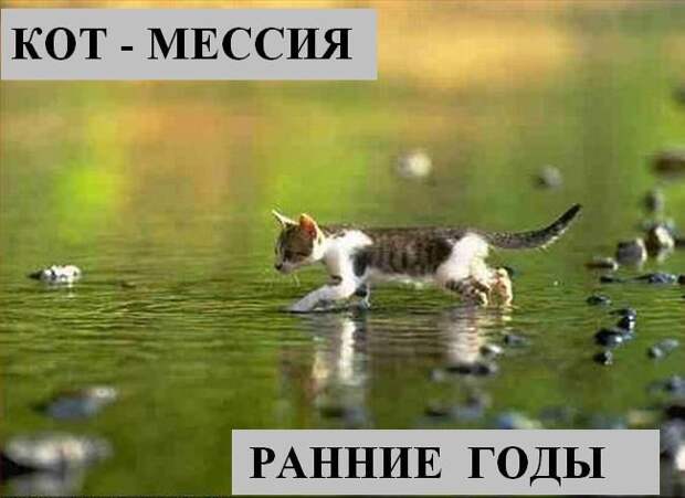 Мысли :) (50мыслей)