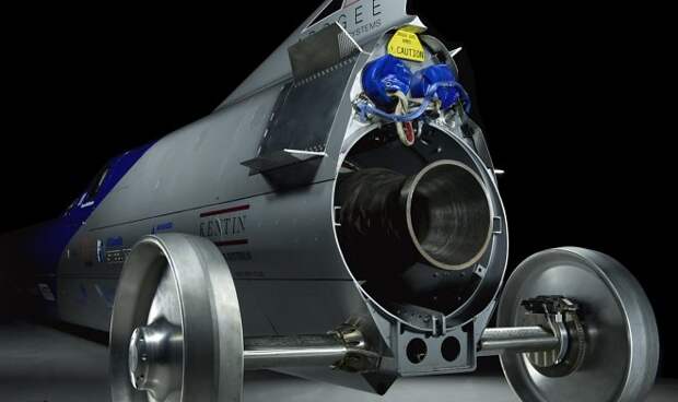 aussie-invader-qUDA (660x392, 38Kb)