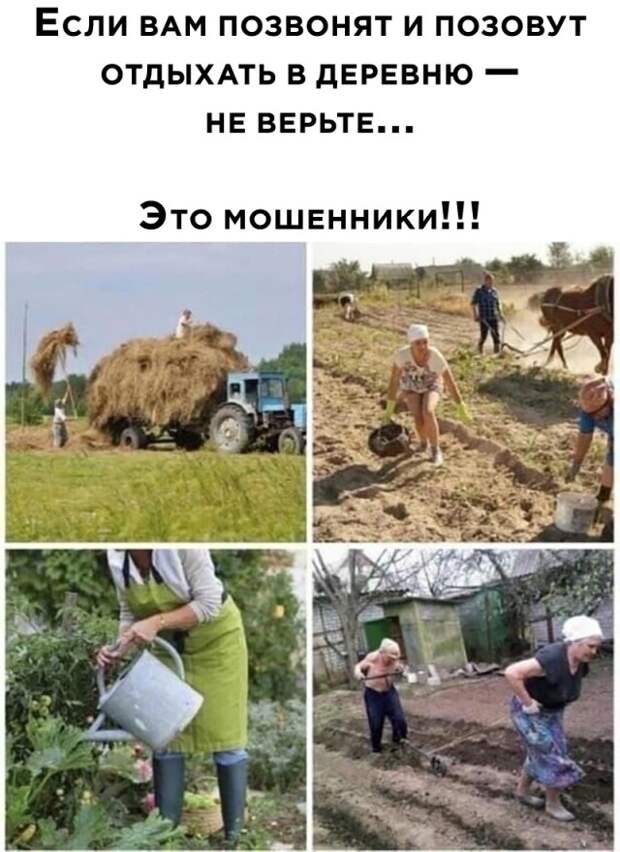 Смешные картинки 9 августа 2021 года